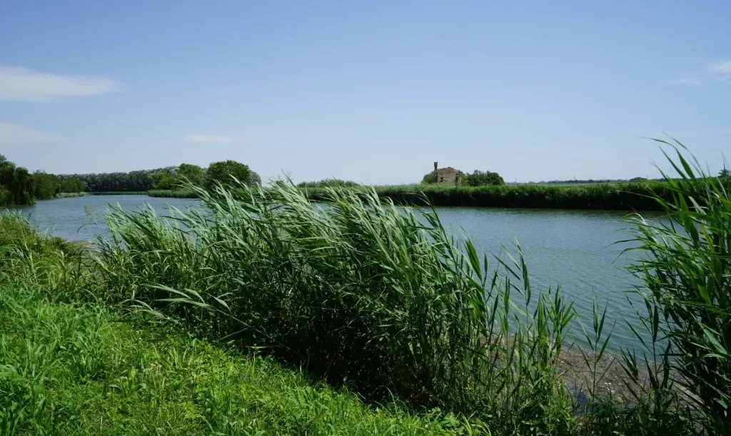 Fattoria Ca' Lealtà